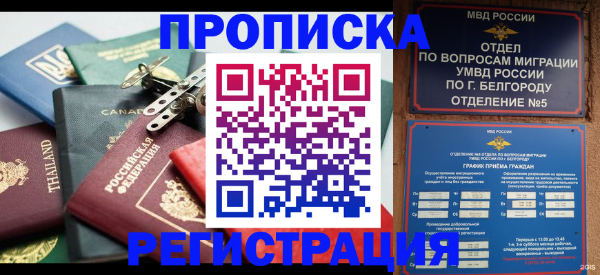 временная регистрация недорого в Камчатской области